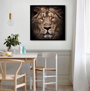 Poster, Tigrul, 100 x 100 см, Poster inramat pe sticla