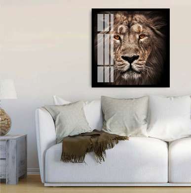 Poster, Tiger, 100 x 100 см, Framed poster on glass, Animals