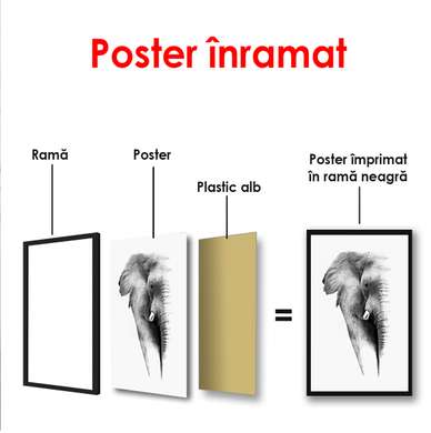Poster - Elefantul alb-negru, 60 x 90 см, Poster înrămat