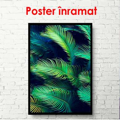Poster - Frunze de palmier pe un fundal întunecat, 60 x 90 см, Poster înrămat, Botanică