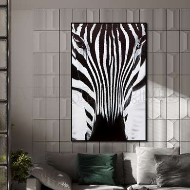 Poster - Zebra, 60 x 90 см, Poster inramat pe sticla, Animale