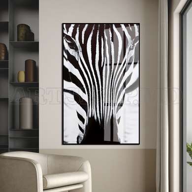 Poster - Zebra, 30 x 45 см, Canvas on frame, Animals