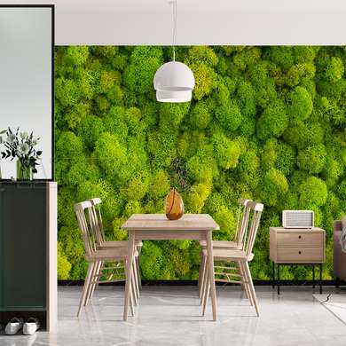 Wall mural - Green moss