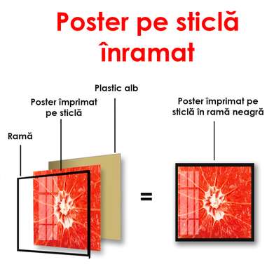 Poster - Red grapefruit, 90 x 60 см, Framed poster, Food and Drinks
