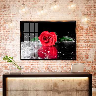 Poster - Trandafir roșu aprins, 45 x 30 см, Panza pe cadru, Flori