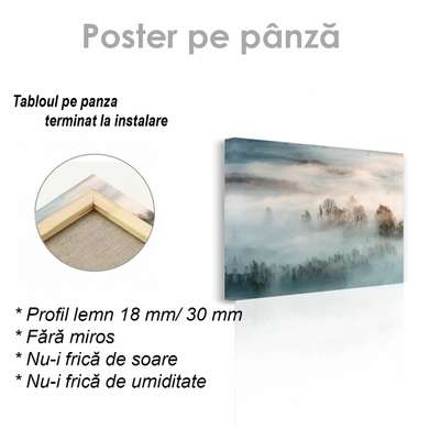 Poster - Foggy landscape, 45 x 30 см, Canvas on frame