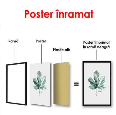 Poster - Frunză delicată pe fundal alb, 60 x 90 см, Poster înrămat, Botanică