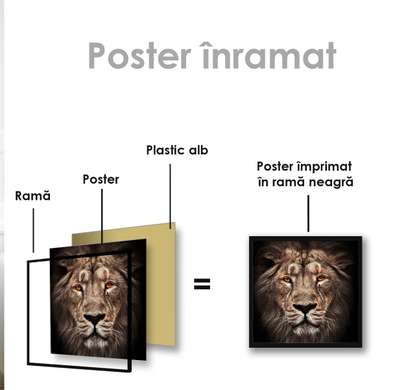Poster, Tigrul, 100 x 100 см, Poster inramat pe sticla