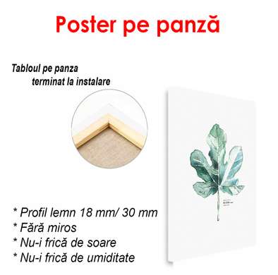 Poster - Frunză delicată pe fundal alb, 60 x 90 см, Poster înrămat, Botanică