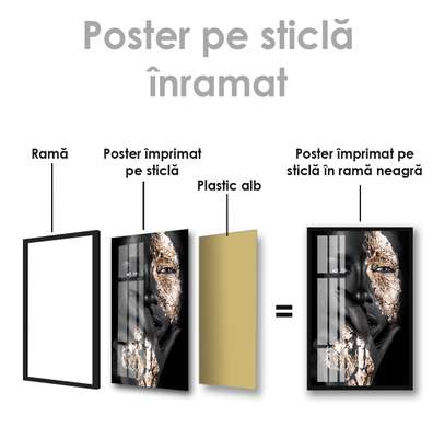 Poster - Privire pătrunzătoare, 60 x 90 см, Poster inramat pe sticla