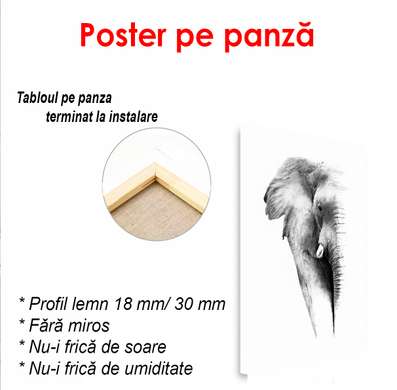 Постер - Черно белый слон, 60 x 90 см, Постер в раме, Минимализм