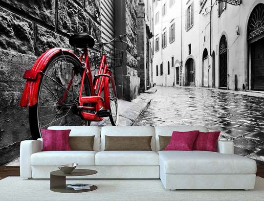 Wall Mural - Black and white landscape with a red bicycle.