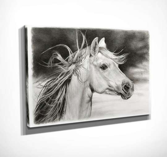 Постер - Черно белая картина лошади, 45 x 30 см, Холст на подрамнике