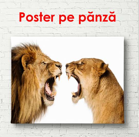 Постер, Опасные животные на белом фоне, 90 x 60 см, Постер в раме, Животные