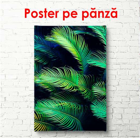 Poster - Frunze de palmier pe un fundal întunecat, 60 x 90 см, Poster înrămat