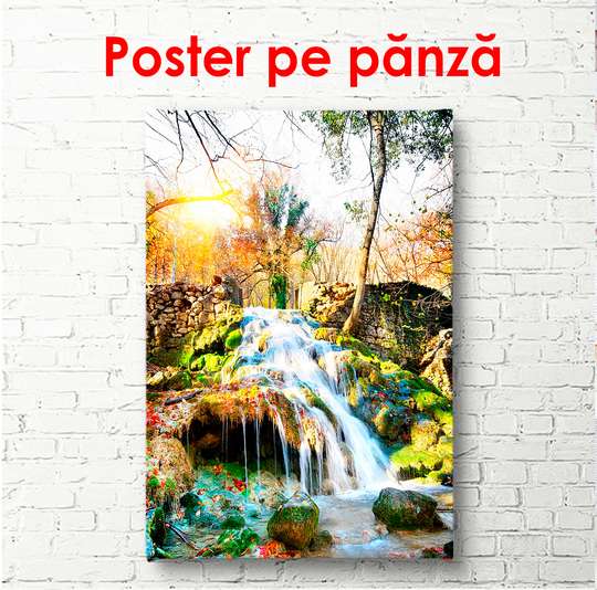 Poster - Summer morning in the park with a waterfall, 60 x 90 см, Framed poster