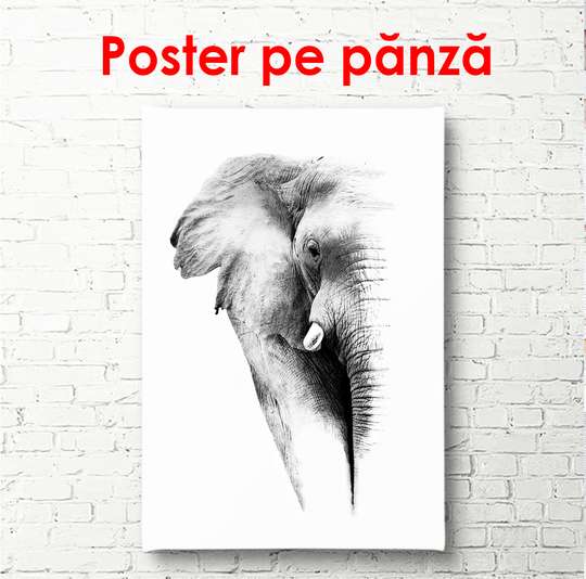 Постер - Черно белый слон, 60 x 90 см, Постер в раме