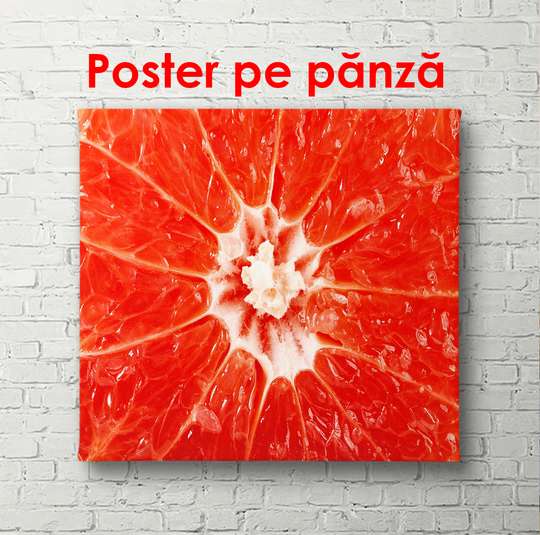 Poster - Grapefruitul roșu, 90 x 60 см, Poster înrămat, Alimente și Băuturi