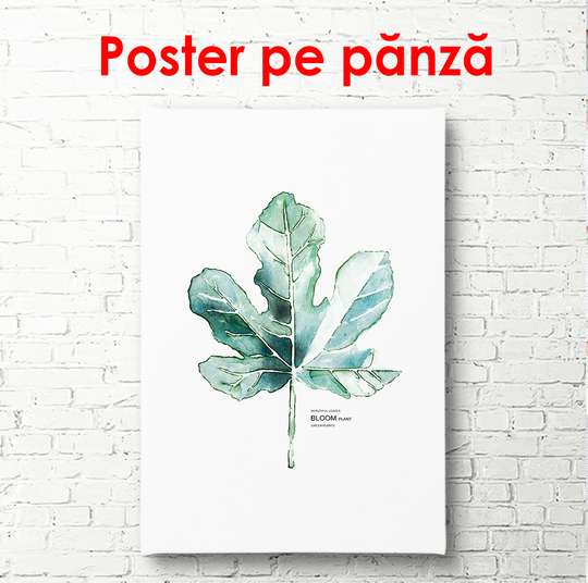 Poster - Delicate leaf on a white background, 60 x 90 см, Framed poster