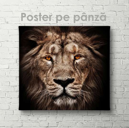 Постер, Тигр, 40 x 40 см, Холст на подрамнике