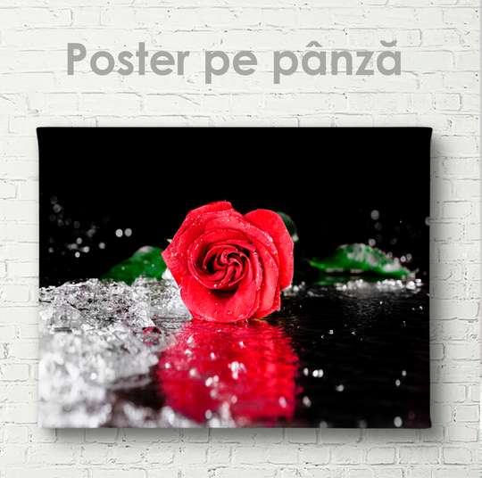 Постер - Ярко красная роза, 45 x 30 см, Холст на подрамнике