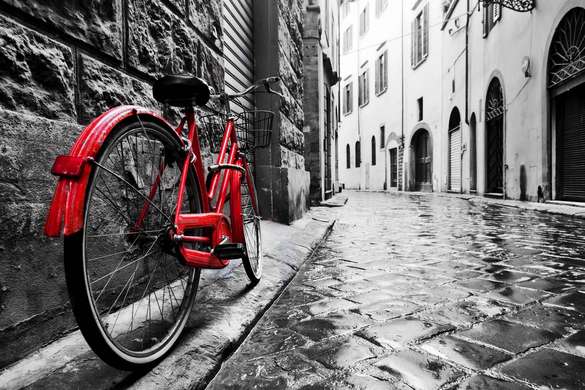 Фотообои - Черно белый пейзаж с красным велосипедом.
