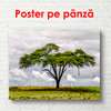 Poster - Arborea verde, 90 x 60 см, Poster înrămat, Natură