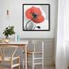 Poster - Red poppy on a gray background, 100 x 100 см, Framed poster, Provence