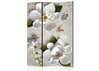 Screen - White flowers and colorful butterflies, 7