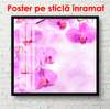 Постер - Фиолетовые орхидеи на нежном фоне с бликами, 100 x 100 см, Постер в раме, Цветы
