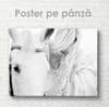 Poster, White horse, 45 x 30 см, Canvas on frame