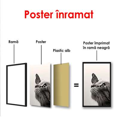 Постер - Кошка и бабочка, 30 x 60 см, Холст на подрамнике, Черно Белые