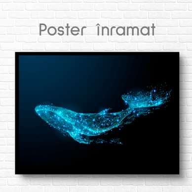 Poster, Balenă, 90 x 60 см, Poster inramat pe sticla