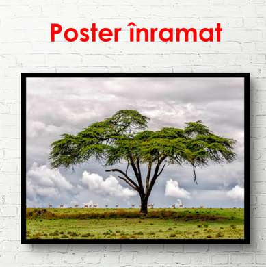 Poster - Green tree, 90 x 60 см, Framed poster