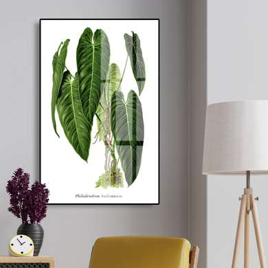 Постер - Зеленый цветок, 60 x 90 см, Постер на Стекле в раме, Цветы