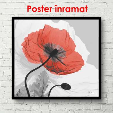 Постер - Красный мак на сером фоне, 100 x 100 см, Постер в раме, Прованс