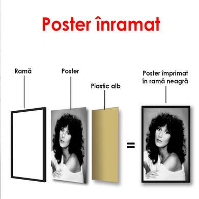 Poster - Portretul cântăreței Cher, 60 x 90 см, Poster înrămat, Persoane Celebre