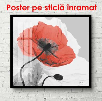 Poster - Macul roșu pe un fundal gri, 100 x 100 см, Poster înrămat, Provence