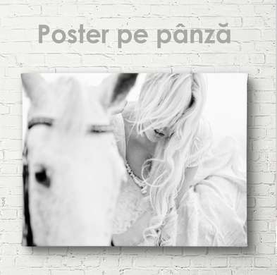 Постер, Белая лошадь, 90 x 60 см, Постер на Стекле в раме, Животные