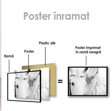 Poster, Calul alb, 90 x 60 см, Poster inramat pe sticla