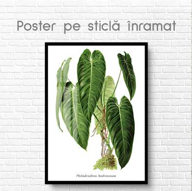 Poster - Floare verde, 30 x 45 см, Panza pe cadru