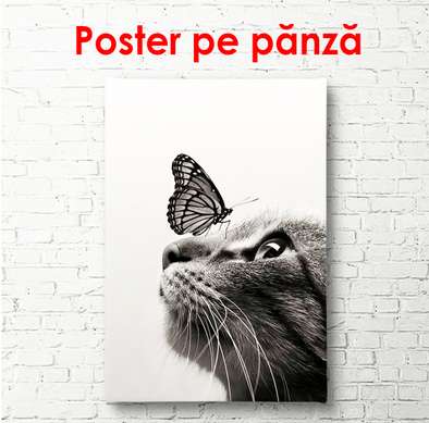 Poster - Pisică și fluture, 30 x 60 см, Panza pe cadru, Alb Negru