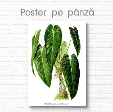 Постер - Зеленый цветок, 30 x 45 см, Холст на подрамнике