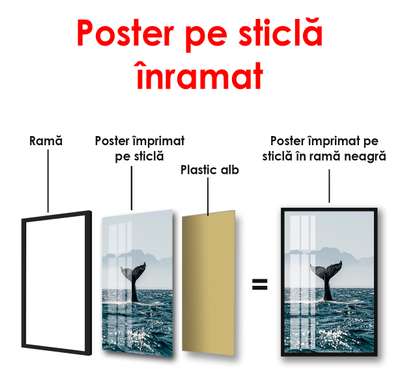 Poster - Coadă de balenă, 50 x 75 см, Poster inramat pe sticla