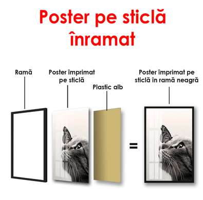 Постер - Кошка и бабочка, 30 x 60 см, Холст на подрамнике, Черно Белые