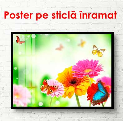 Постер - Яркие весенние цветы с бабочками, 90 x 60 см, Постер в раме, Цветы