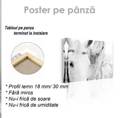 Poster, Calul alb, 90 x 60 см, Poster inramat pe sticla