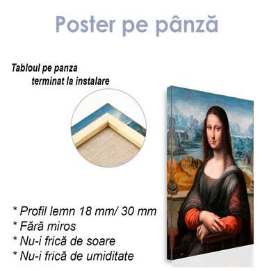 Poster - Mona Lisa Portrait, 30 x 45 см, Canvas on frame