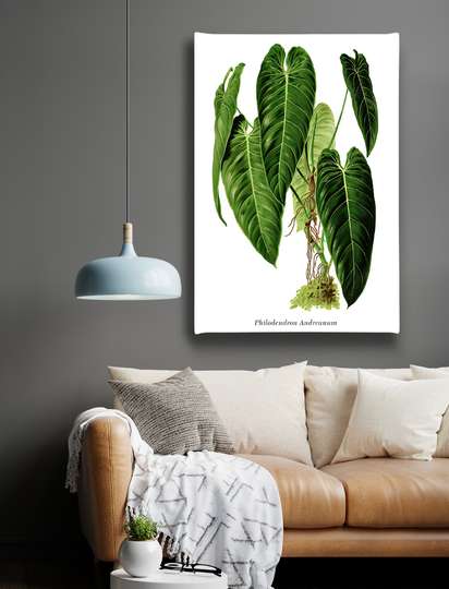 Poster, Floare verde, 30 x 45 см, Panza pe cadru