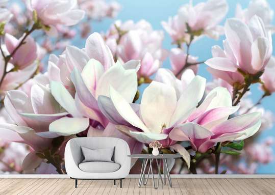 3D Wallpaper - White and pink flowers against the blue sky